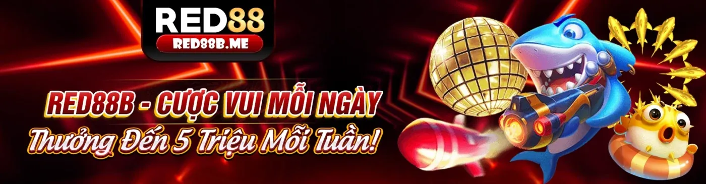Hình ảnh minh họa chính sách cookie và bảo mật dữ liệu của 5699 game